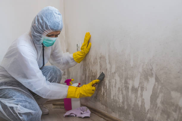 Attic Mold Removal in Owasso, OK