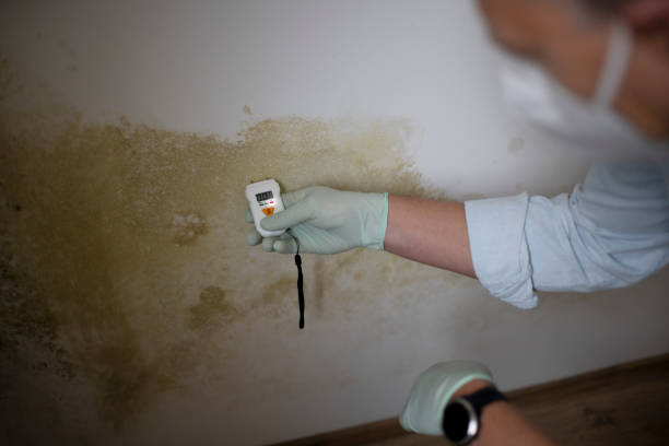 Best Office Mold Removal Services  in Owasso, OK