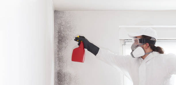 Best Residential Mold Removal  in Owasso, OK