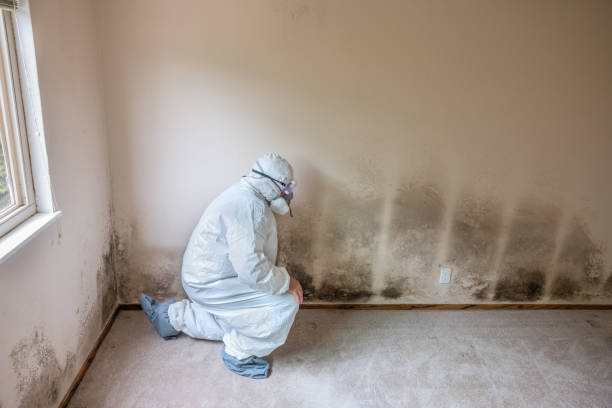 Best Mold Testing  in Owasso, OK