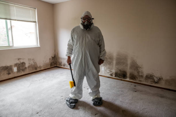 Best Commercial Mold Removal  in Owasso, OK